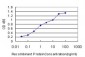RPS6KB1 Antibody (monoclonal) (M02)